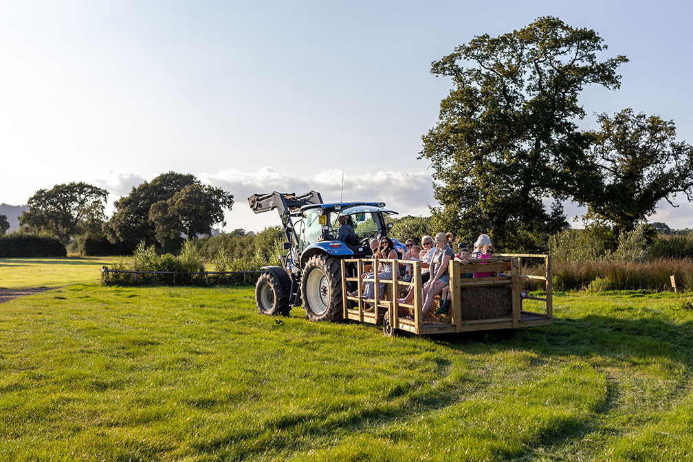Tractor Rides at the Dorset Hideaway